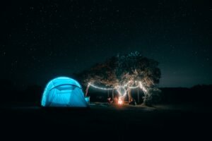 The Future of Digital Nomads: Work, Travel, and Study Online